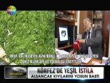 Körfez'de yeşil istila - 09 mayıs 2012