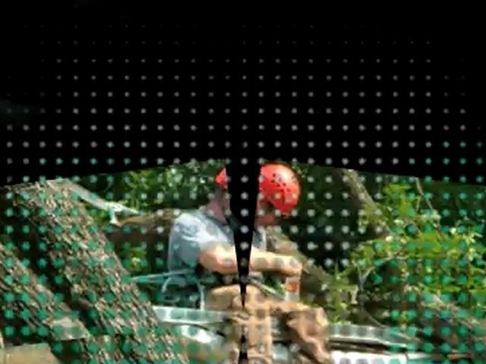 Tree Service Austin TX | (512) 731-8956