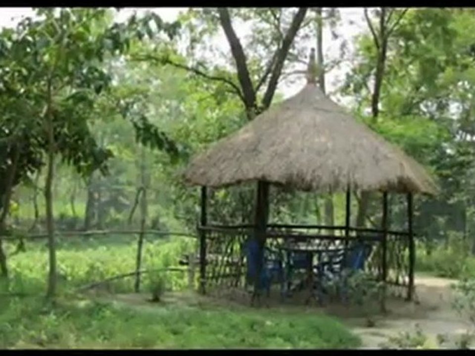Travel To Care Golaghat Resort Golaghat Chitwan Nepal