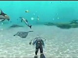 Endless Ocean 2: Adventures of the Deep - Trailer 1