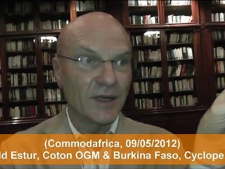 Commodafrica Coton Gerald Estur OGM Burkina