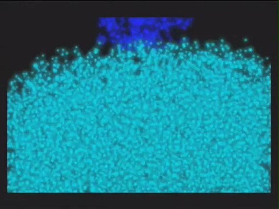 PokéPark Wii: Pikachu's Adventure - Teaser