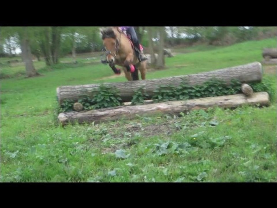 Séance de cross pour Jeanne et Flocon 08-05-12