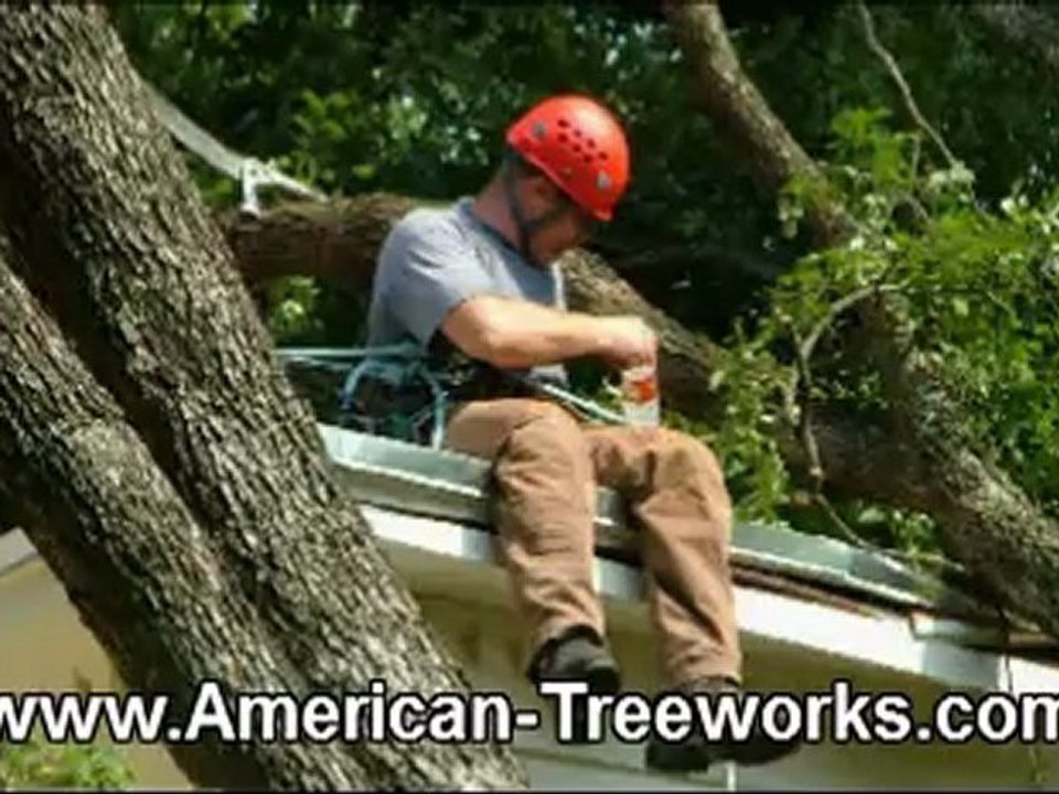 Tree Trimming Lago Vista TX | (512) 731-8956