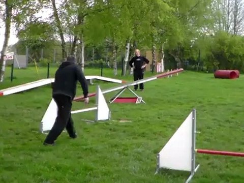 Floyd in the Wind Agility 2012