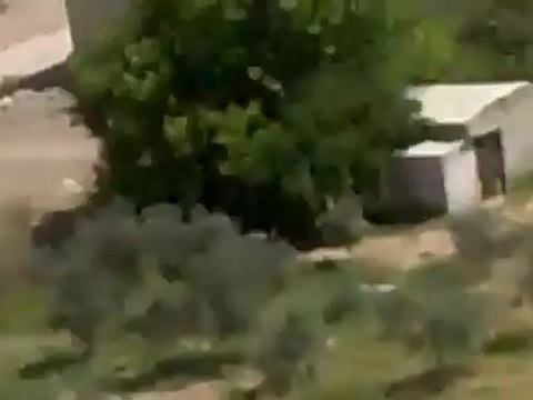 فري برس ريف دمشق عربين دخول التعزيزات العسكرية الى المدينة طريق حزه عربين 9 5 2012 ج2 Damascus