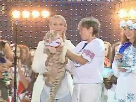Подаренная Тимошенко тигрица родила 4 белых тигрят