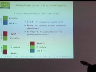 Le Dépérissement de la Syrah : bilan du programme Interrégional (Part 1)