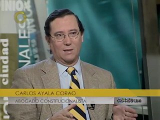 Ayala Corao: No te puedes escapar de la CIDH