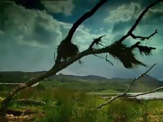 «El principio del fin»