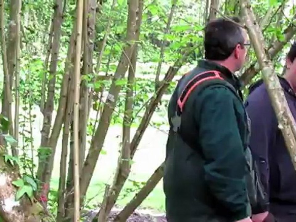 Saint-Augustin : un parcours de santé au cœur des bois