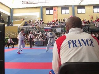 Ch. Europe Karaté 2012 - William Rolle en finale des -67kg