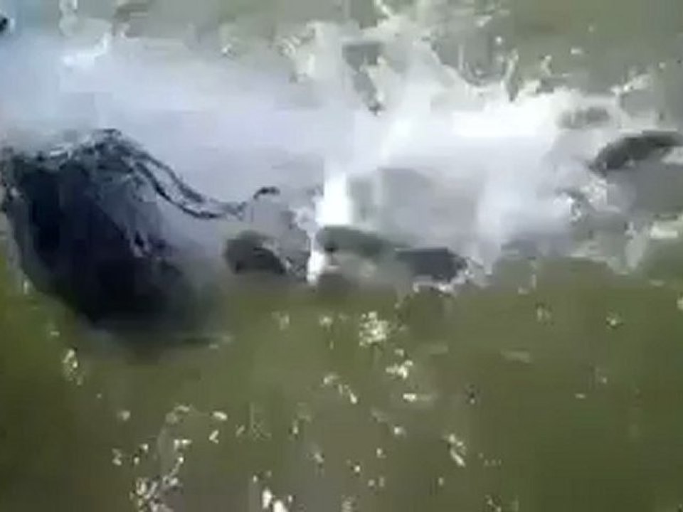 Balık Böyle Tutulur !