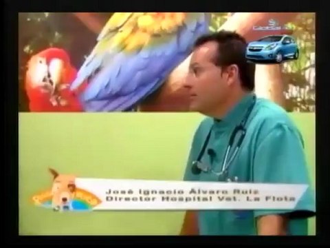 SALUD Y VIDA DE LOS ANIMALES...DR CHICA , COLOMBIA +57 3115021449...DR CROGITE , BRASIL +57 3206642092...
