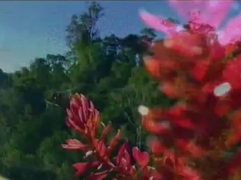 Чудеса Солнечной системы - Чужие