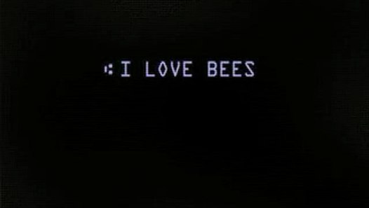 i love bees halo 2