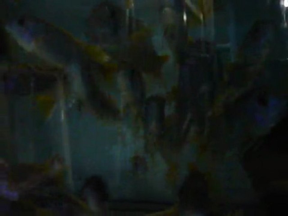 P1110716