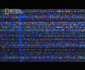 How One Species Transforms into Another