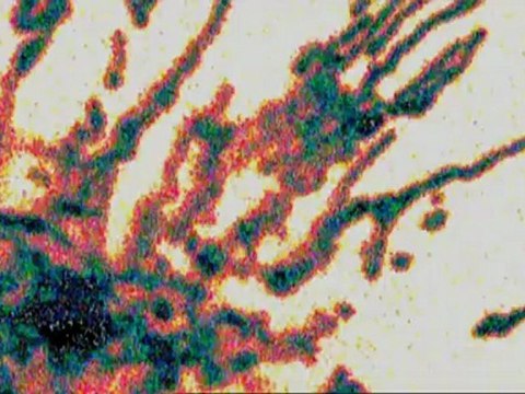 100 великих открытий - Биология