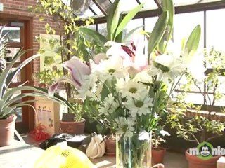 How To Care For Cut Flowers