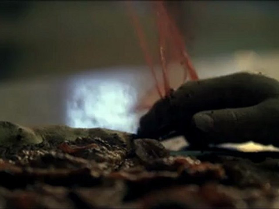 Father John Misty - This Is Sally Hatchet [OFFICIAL VIDEO]