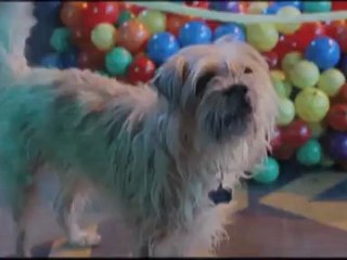 Spy Kids 4: All The Time in The World 3D - Trailer 2