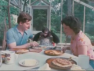 Project Nim - Trailer