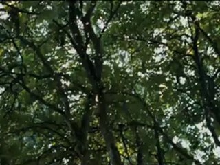 Rise of the Planet of the Apes - International Trailer