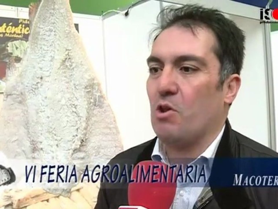 VI Feria