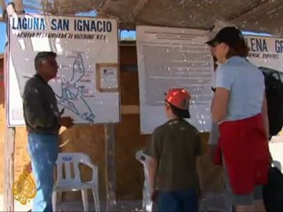 World's longest mammal migration