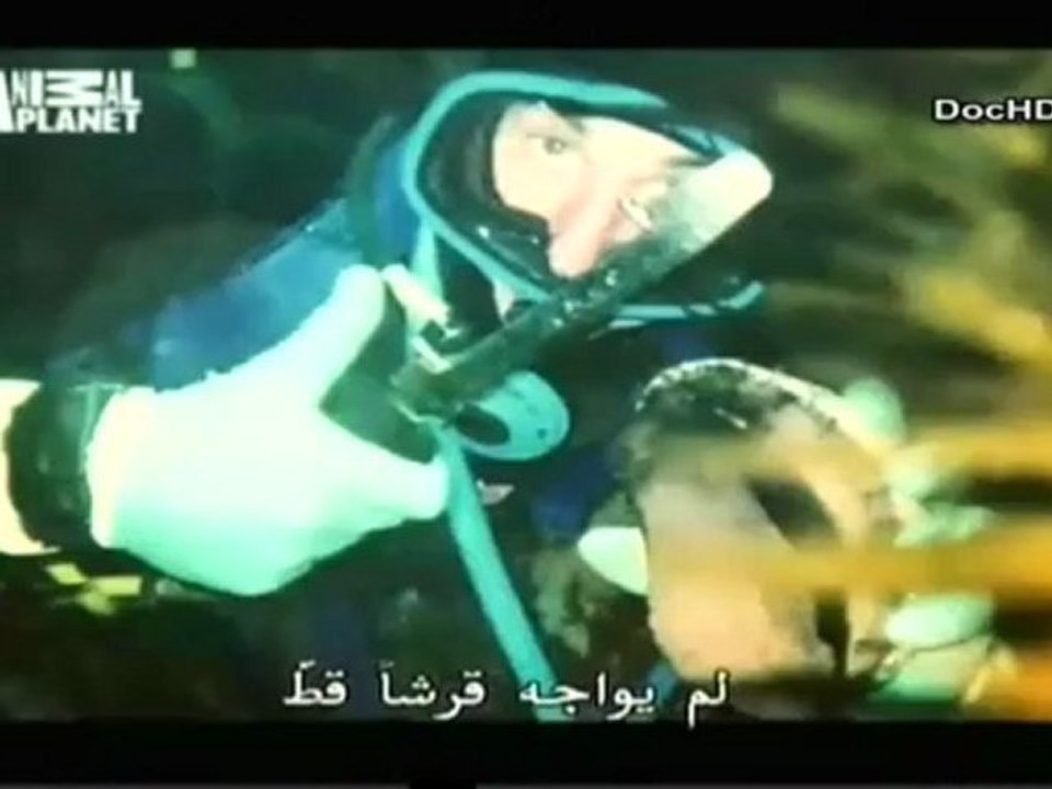 اكلى لحوم البشر سمك القرش