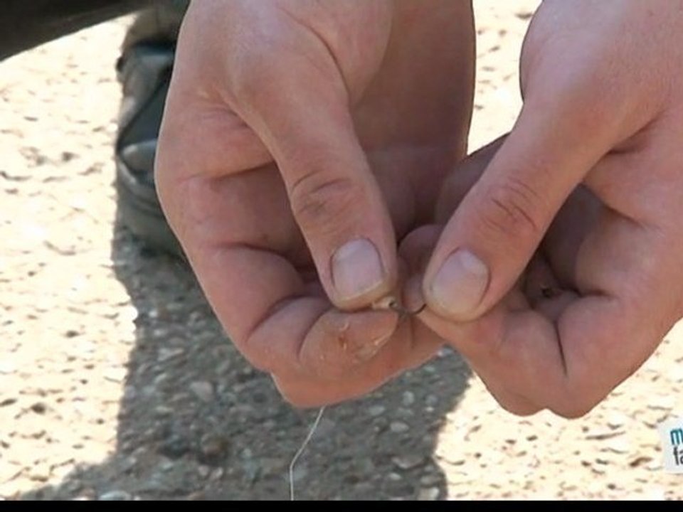 Comment fixer l'appât à l'hameçon pêche