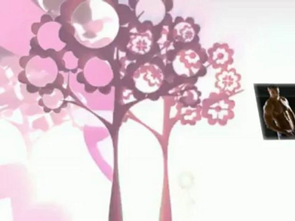 Visual Impact Muscle Building - Strategic Muscle Gainer ...