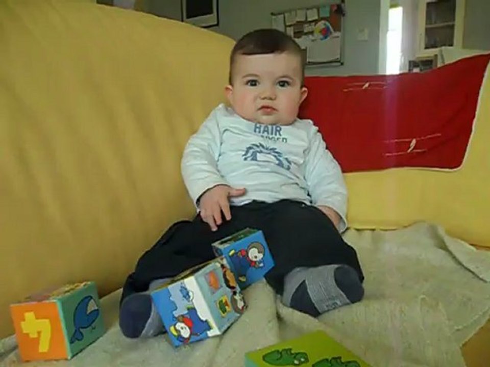 SAM_0446