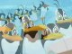 Mr Popper's Penguins - DVD Featurette - Nimrod And Stinky's Antarctic Adventure (Extract)