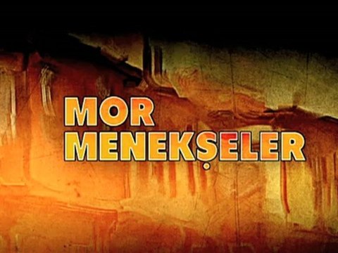 Mor Menekşeler 28. Bölüm Fragman Dizi İzle (tek parça)