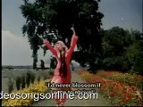 Shammi Kapoor  Saira Banu - Kashmir Ki Kali Hoon Main - Junglee - videosongsonline.com