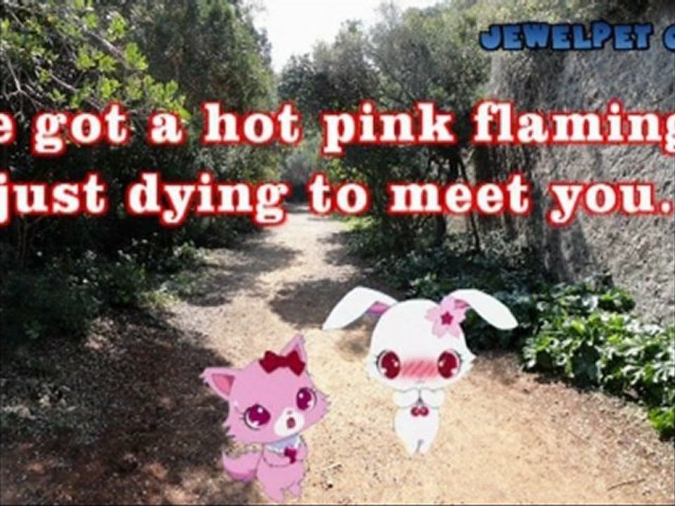 Jewelpet Garnet want a pet