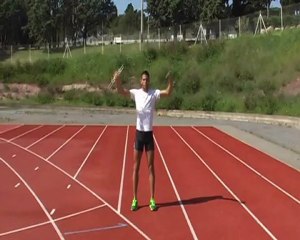 oiseau mouvement complet