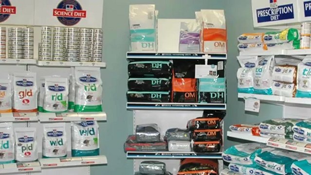 Veterinarian Tollendal Barrie Big Bay Animal Hospital