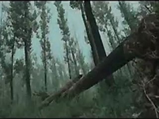 An Empress And The Warriors - Clip - Pursuit