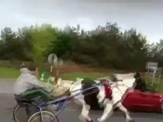 Travellers race horses along busy road in Cork