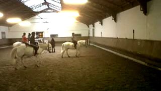 Galop avec Lobo le 8 janvier 2012