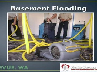 Basement Flooding Bellevue
