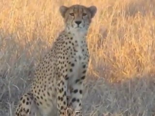 Skukuza Kruger National Park Accommodation Reservations