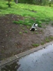 Gandhi 3 mois le rois du rappel !