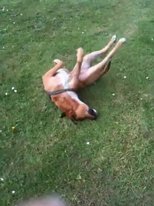 Rum mon chouchou que je garde très souvent !!!! malheureux moi ?????!!!!!! Non !!!!!