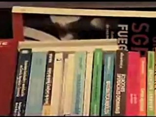 Fermat's Room: A Thrilling Puzzle Under Pressure 🔢