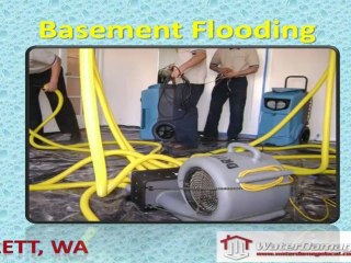 Basement Flooding Everett