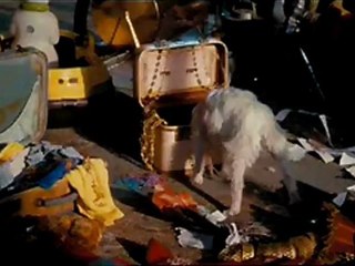 Hotel For Dogs - Clip - Throwing machine